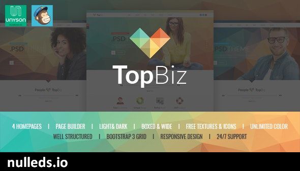 TopBiz - Responsive Corporate WordPress Theme