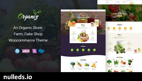 Organiz - An Organic Store WooCommerce Theme