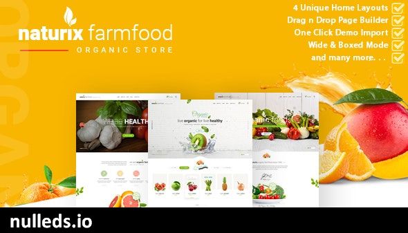 Naturix - Organic Store Woocommerce Theme with Drag n Drop Page Builder