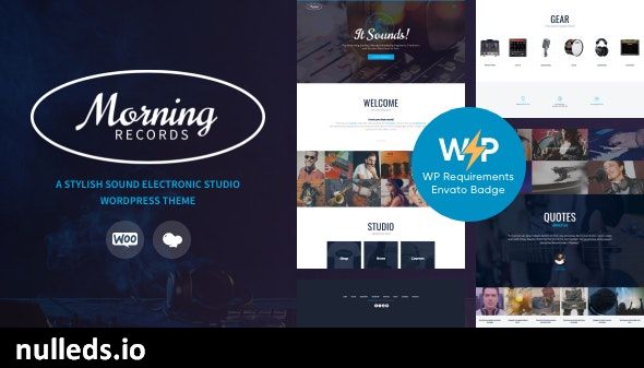 Morning Records - A Stylish Sound Electronic Studio WordPress Theme