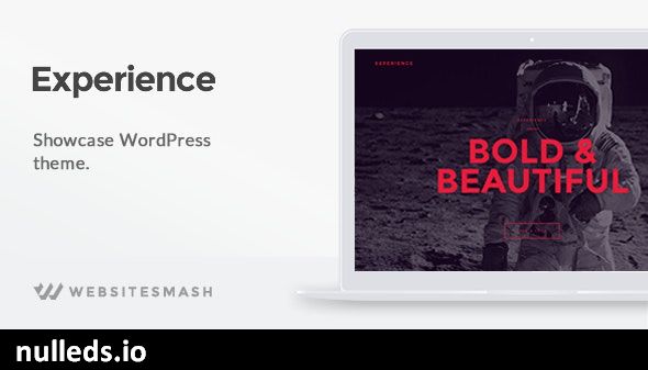 Experience - Showcase WordPress Theme