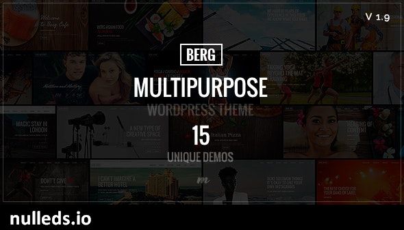 Berg - Multipurpose Responsive Theme