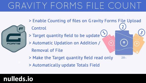 Gravity Forms Count Files