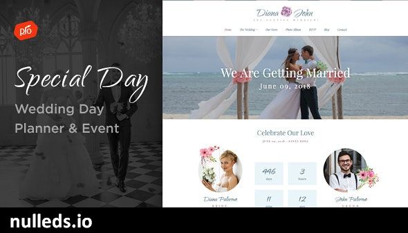 Special Day - Wedding Day, Planner, & Event Theme