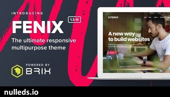 Fenix - Responsive Multi-Purpose WordPress theme