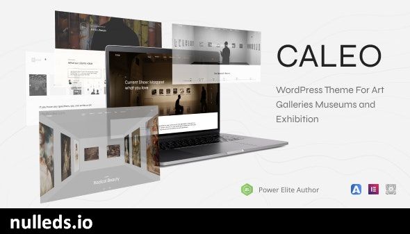 Caleo - Art Gallery WordPress Theme