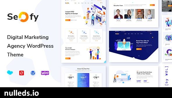 Seofy - Digital & Marketing WordPress Theme