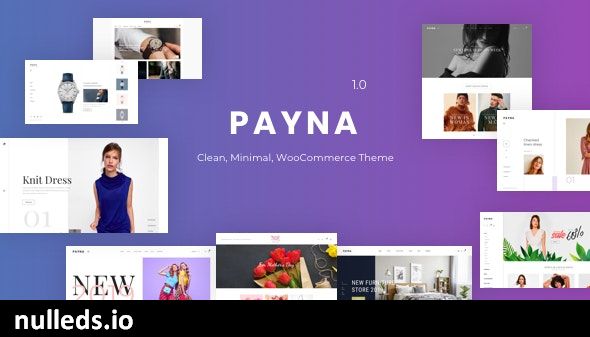 Payna - Clean, Minimal WooCommerce Theme