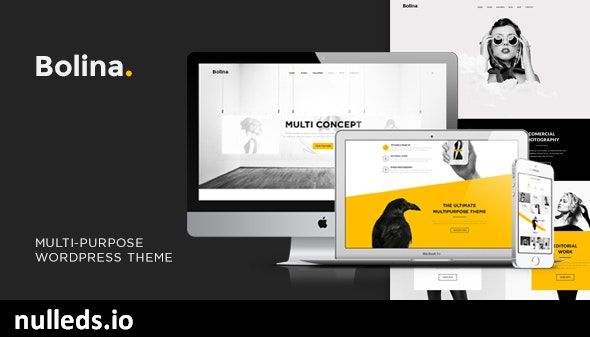 Bolina - Trendy & Stylist WordPress Theme