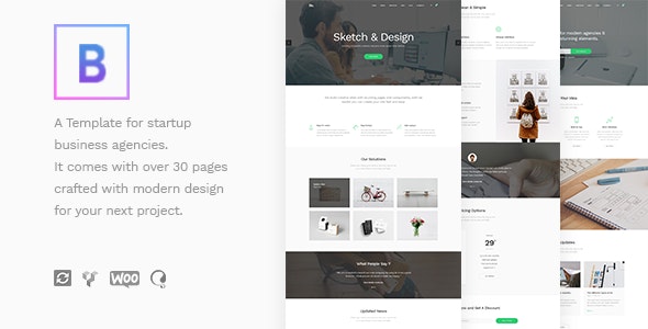 BoTheme - Startup Business WordPress Theme