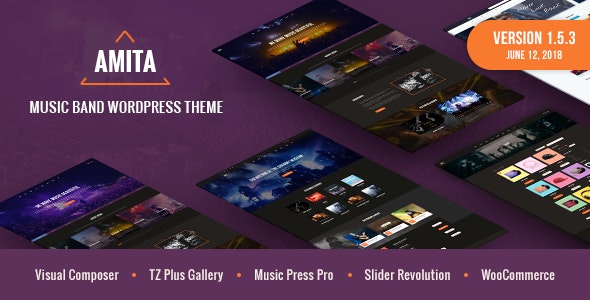 AMITA - Music Band WordPress Theme