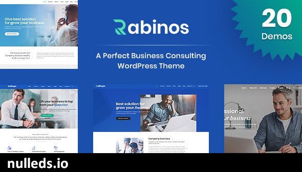 Rabinos - Business Consulting WordPress Theme