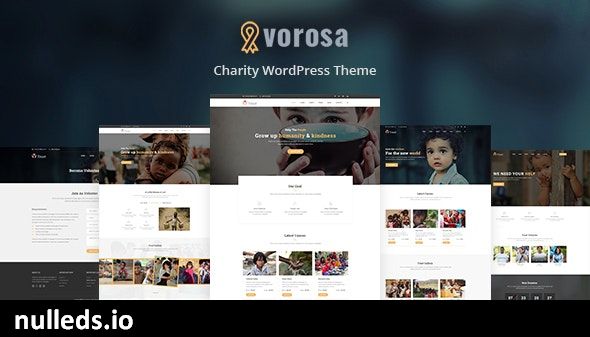 Vorosa - Nonprofit Charity WordPress Theme