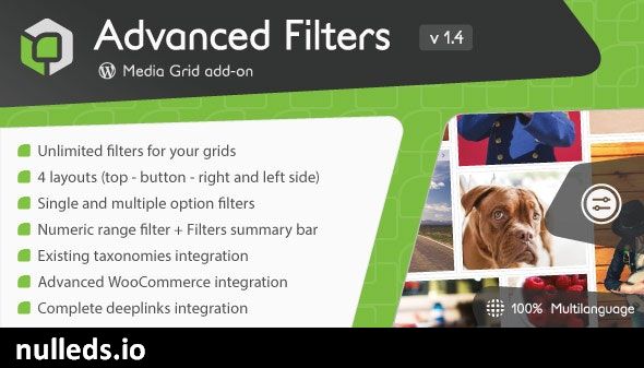 Media Grid - Advanced Filters add-on