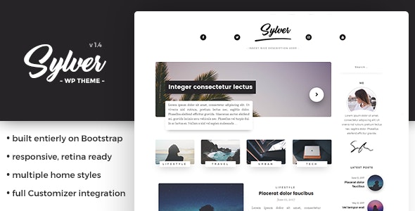 Sylver - Responsive WordPress Blog Theme