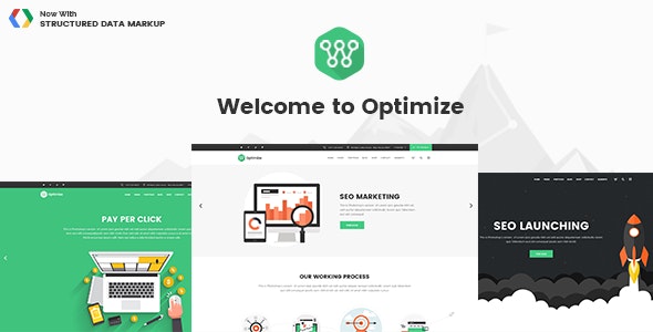 Optimize - SEO & Social Media Theme