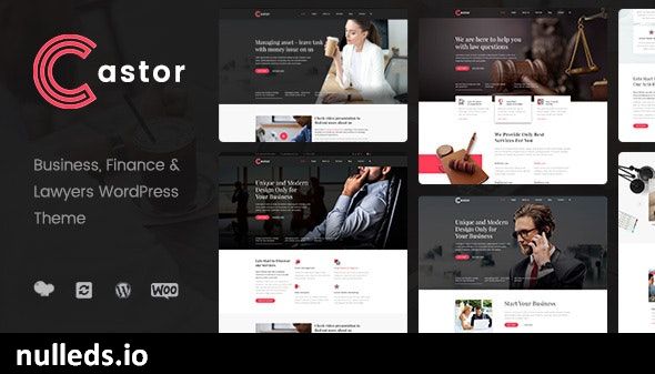 Castor - Business Consulting WordPress Theme