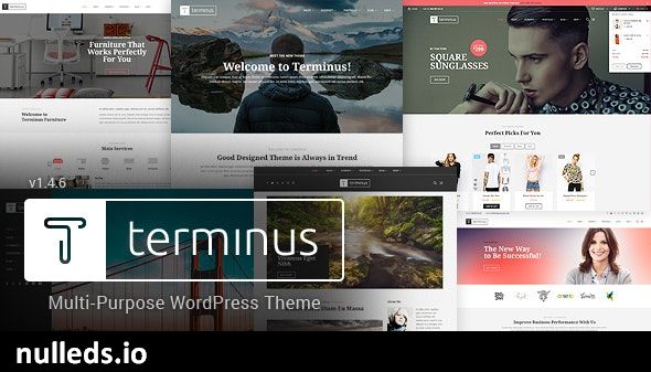 Terminus - Responsive Multi-Purpose WordPress Theme