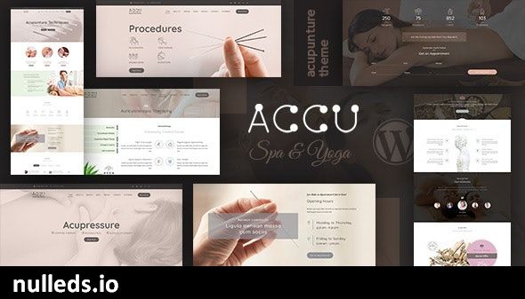 Accu - Healthcare, Massage WordPress Theme