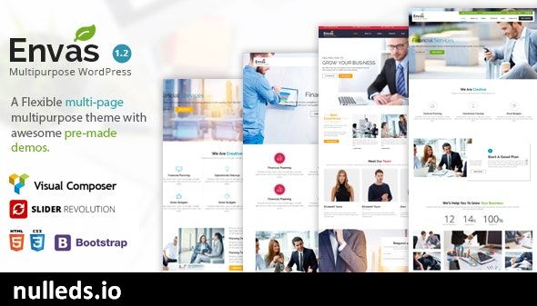 Envas - Multipurpose WordPress