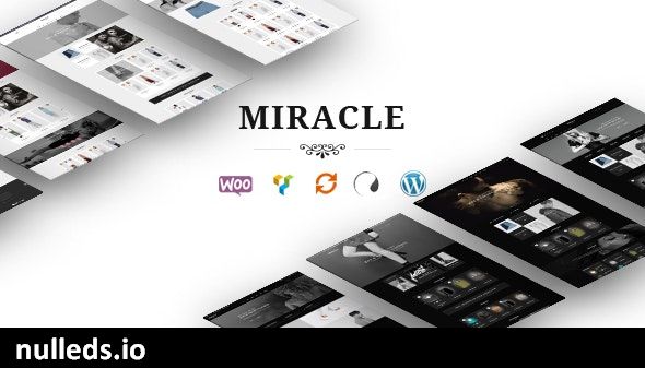 Miracle - Responsive WooCommerce WordPress Theme