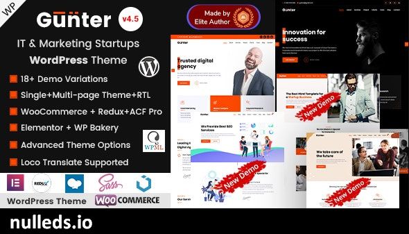 Gunter - Marketing Agency & IT Startup Company WordPress Theme
