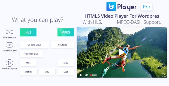 bzplayer Pro - Live Streaming Player WordPress Plugin