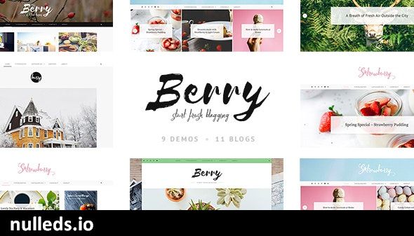 Berry - A Fresh Personal Blog and Shop Theme