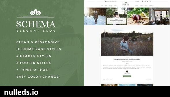 Schema Elegant Responsive WordPress Blog Theme