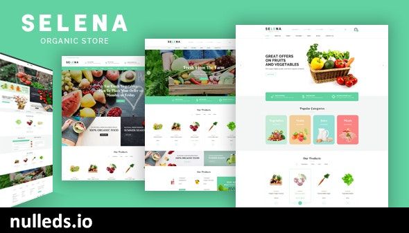 Selena - Organic Food Store Theme for WooCommerce WordPress