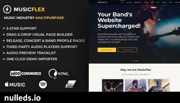 MusicFlex - WordPress Theme for Musicians