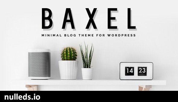 Baxel - Minimal Blog Theme for WordPress