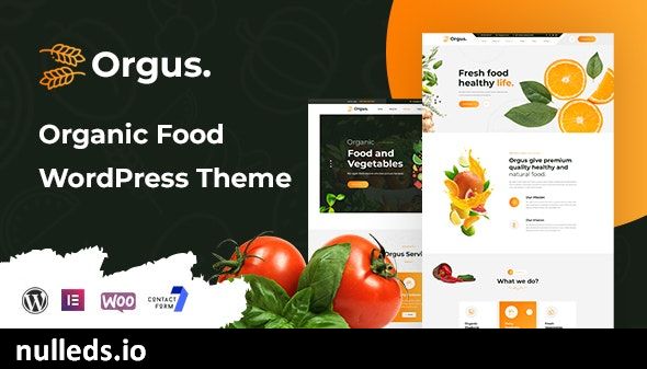 Orgus - Organic Food WooCommerce WordPress Theme