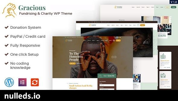 Gracious - Charity and Donation WordPress Theme