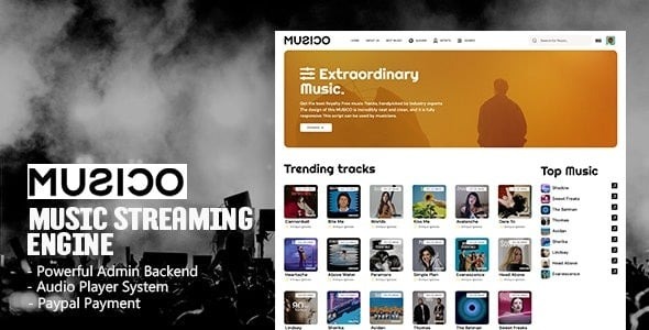 Free Download MUSICO v4.0 Premium Music Download System with Website